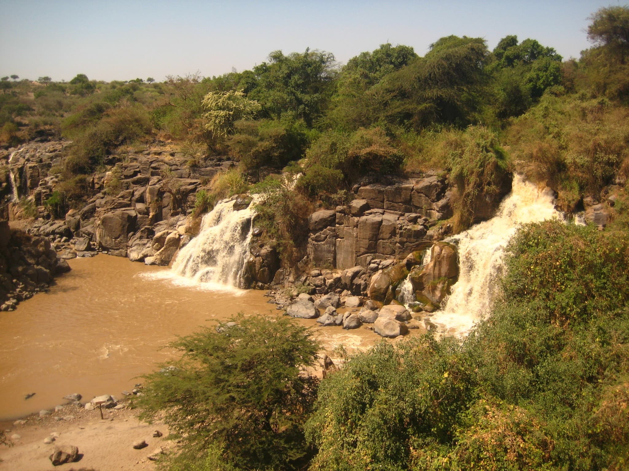 Awash National Park: photo 2