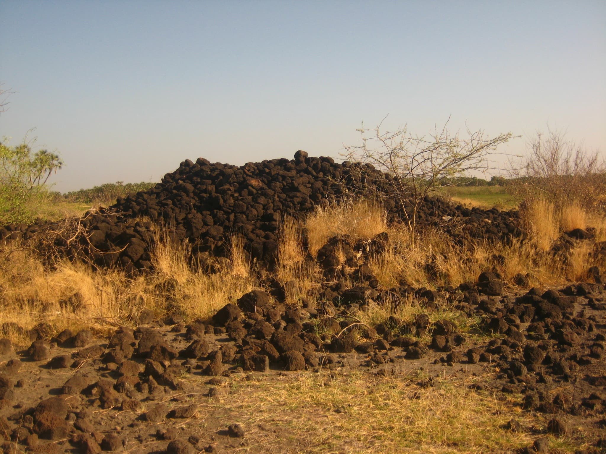 Awash National Park: photo 3