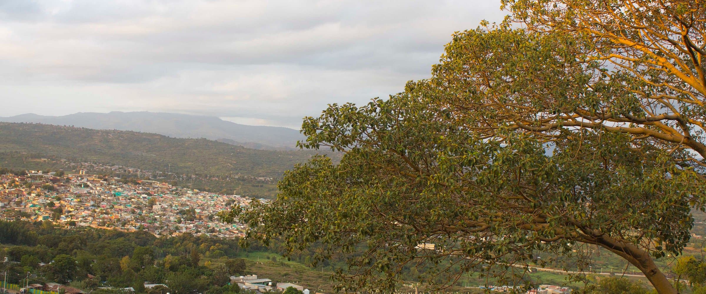 Harar & Dire Dawa Cultural Immersion: photo 5