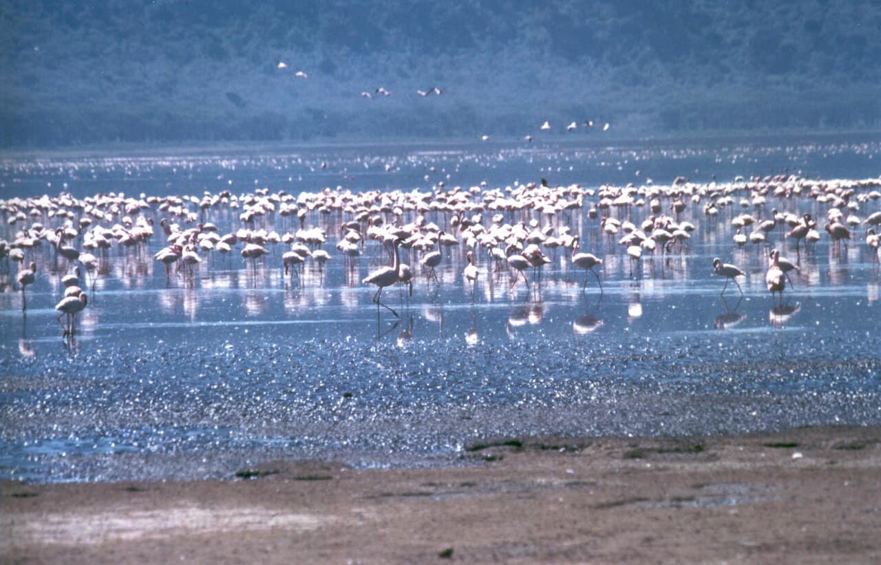 Rift Valley Lakes Circuit