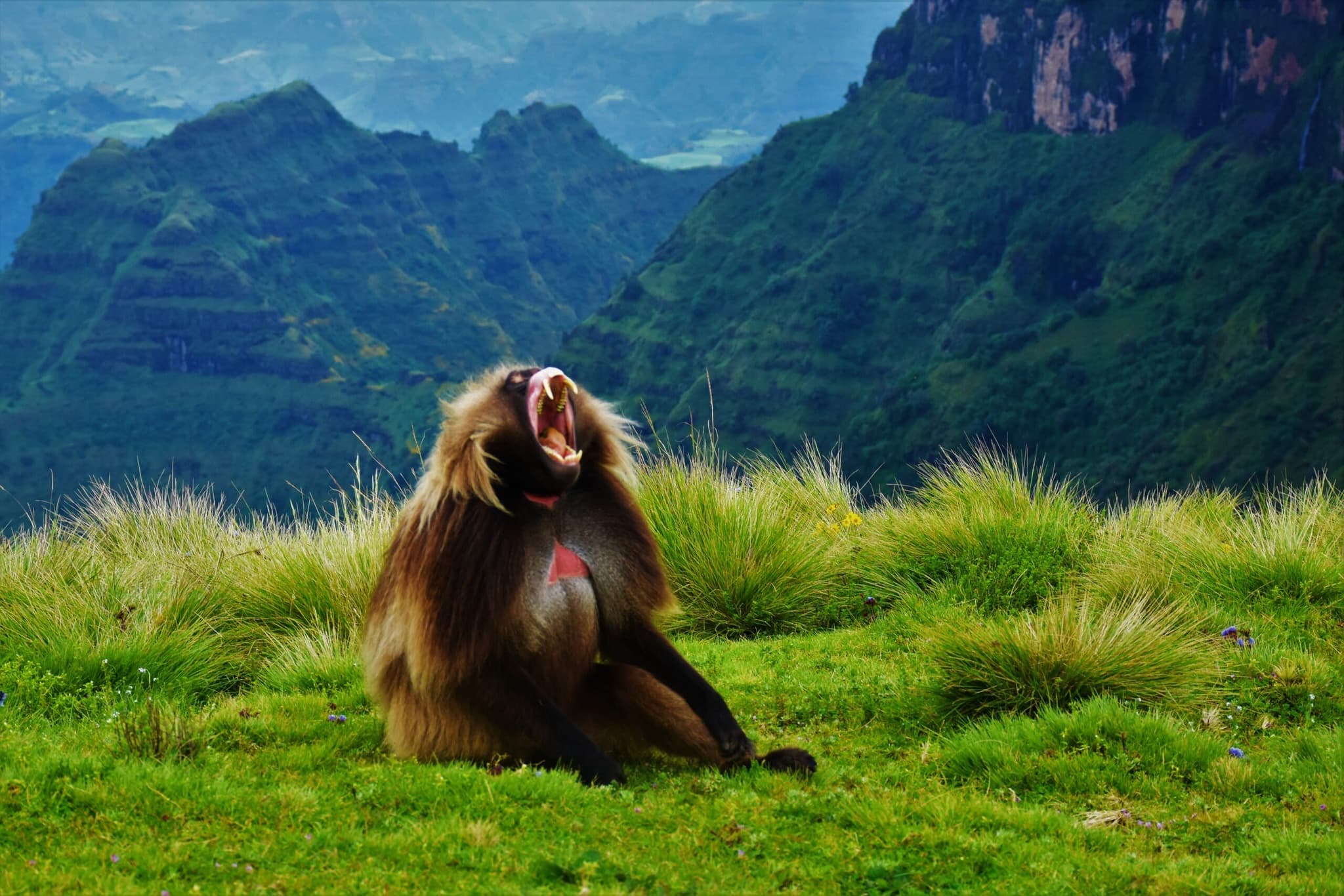 Simien Mountains, Ethiopia