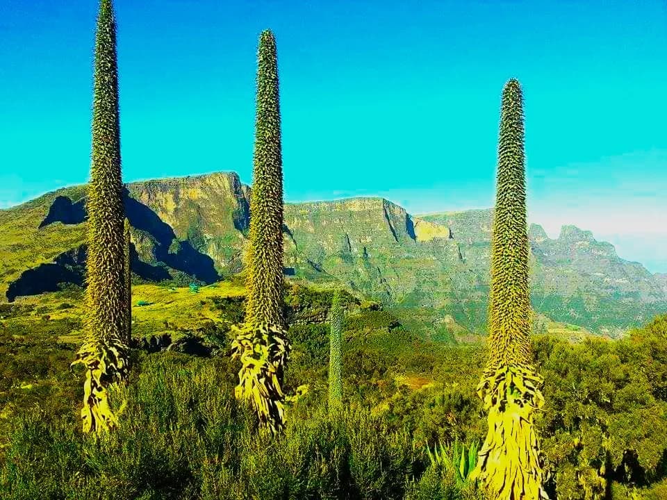 Simien Mountains Trekking: photo 2