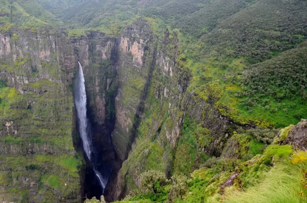 Simien Mountains Trekking: photo 4