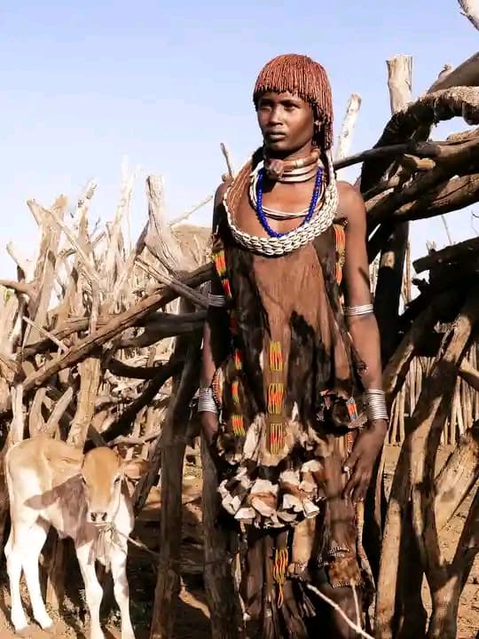 2-Day Omo Valley Tour Ethiopia: Mursi & Hamar Cultural Experience: photo 2